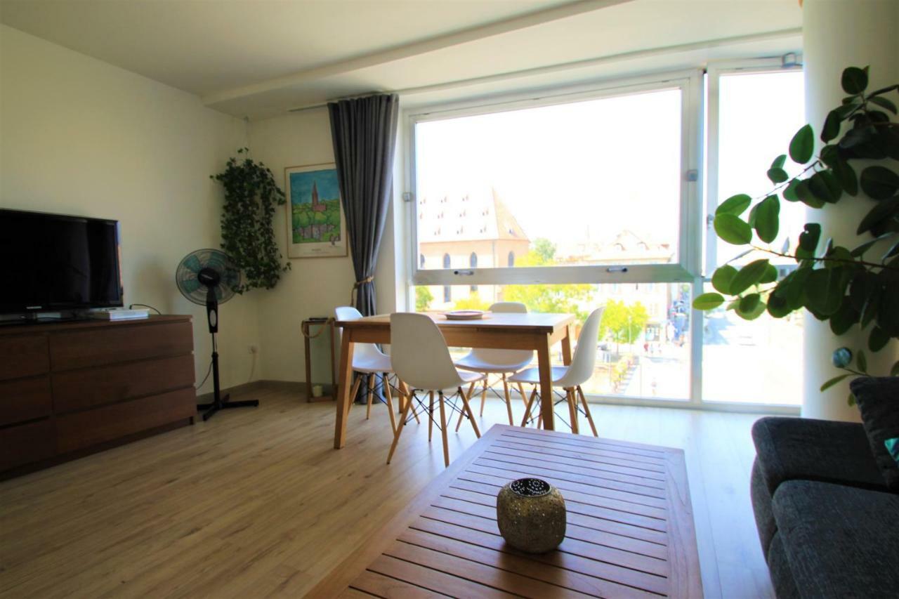 Au Coeur De Strasbourg, 3 Pieces Vue Sur L'Ill! Διαμέρισμα Εξωτερικό φωτογραφία